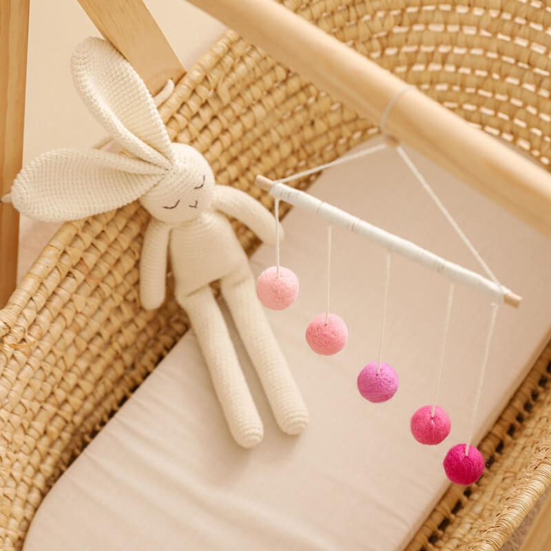 Play Gym Baby mobile gift birthday easter